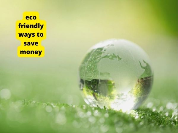 eco friendly ways to save money