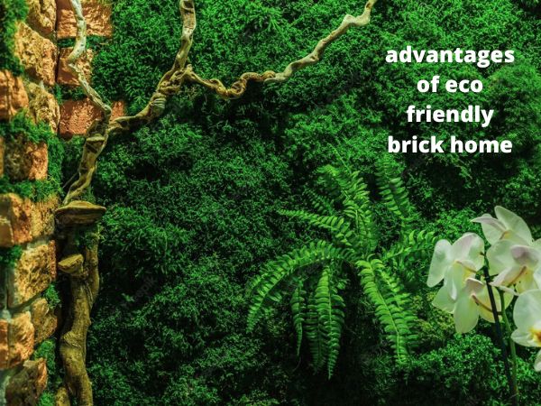 advantages of eco friendly brick home