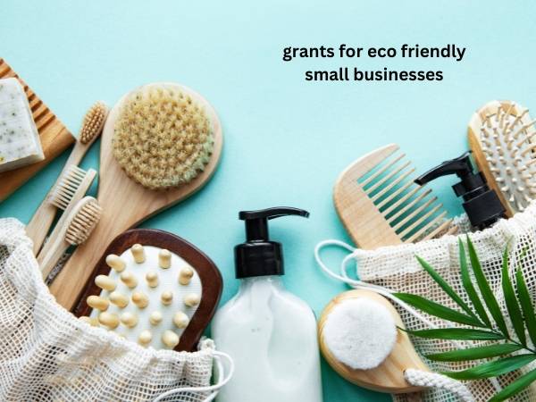 grants for eco friendly small businesses