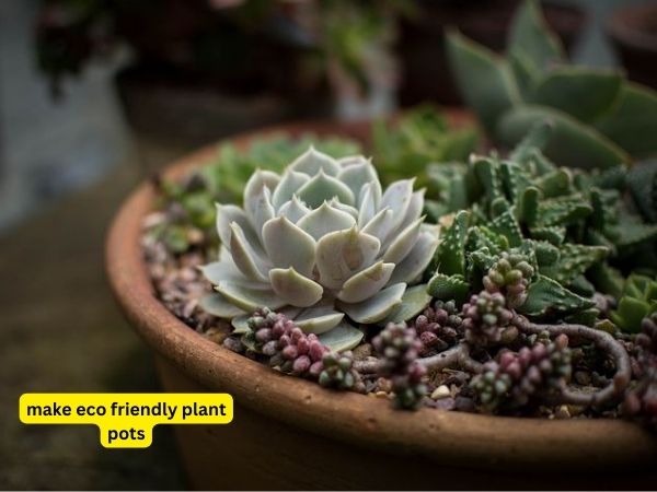 how to make eco friendly plant pots?