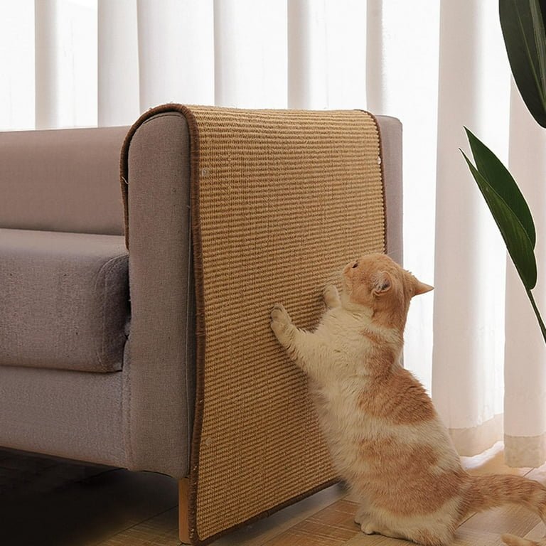 How to Choose Eco-Friendly Furniture that is Resistant to Pet Scratches?
