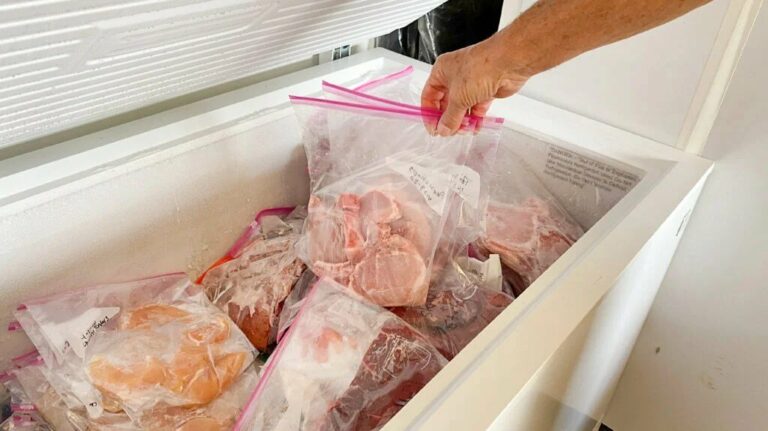 The Ultimate Guide: Best Way To Store Meat In Freezer