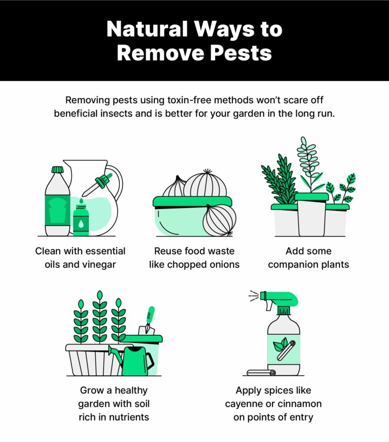 eco friendly ways of controlling pests
