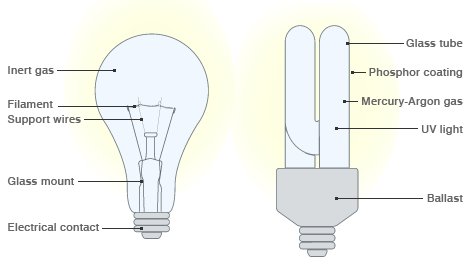 The Science Behind Eco-Friendly Light Bulbs: How They Work