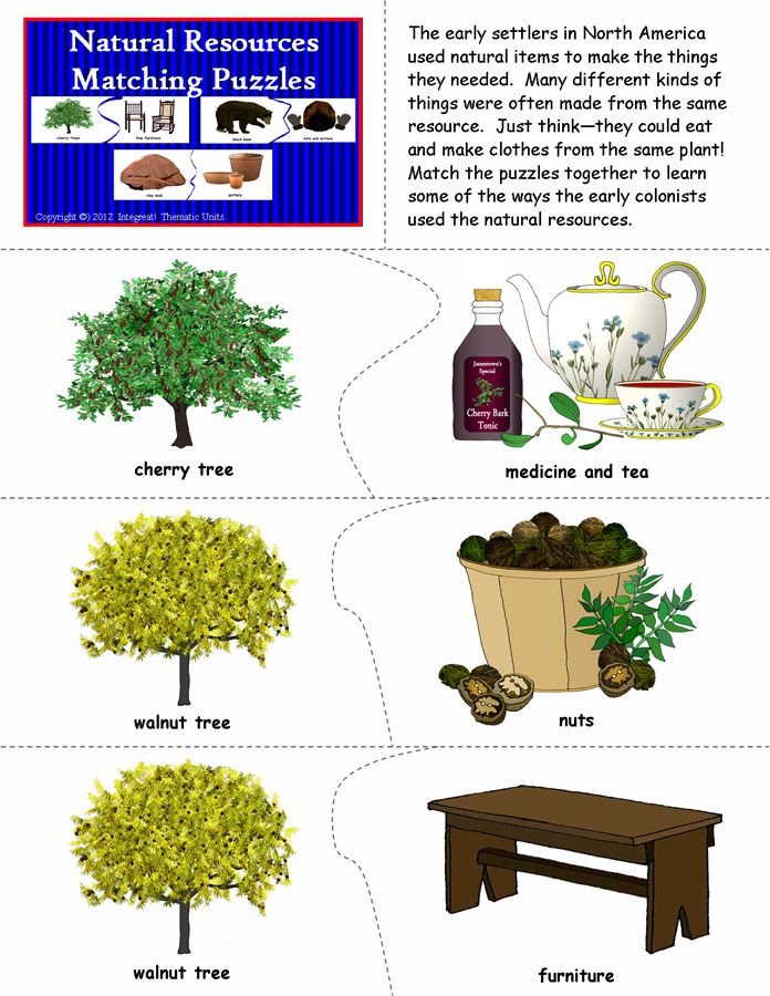 The Essential Natural Resources For Furniture Making